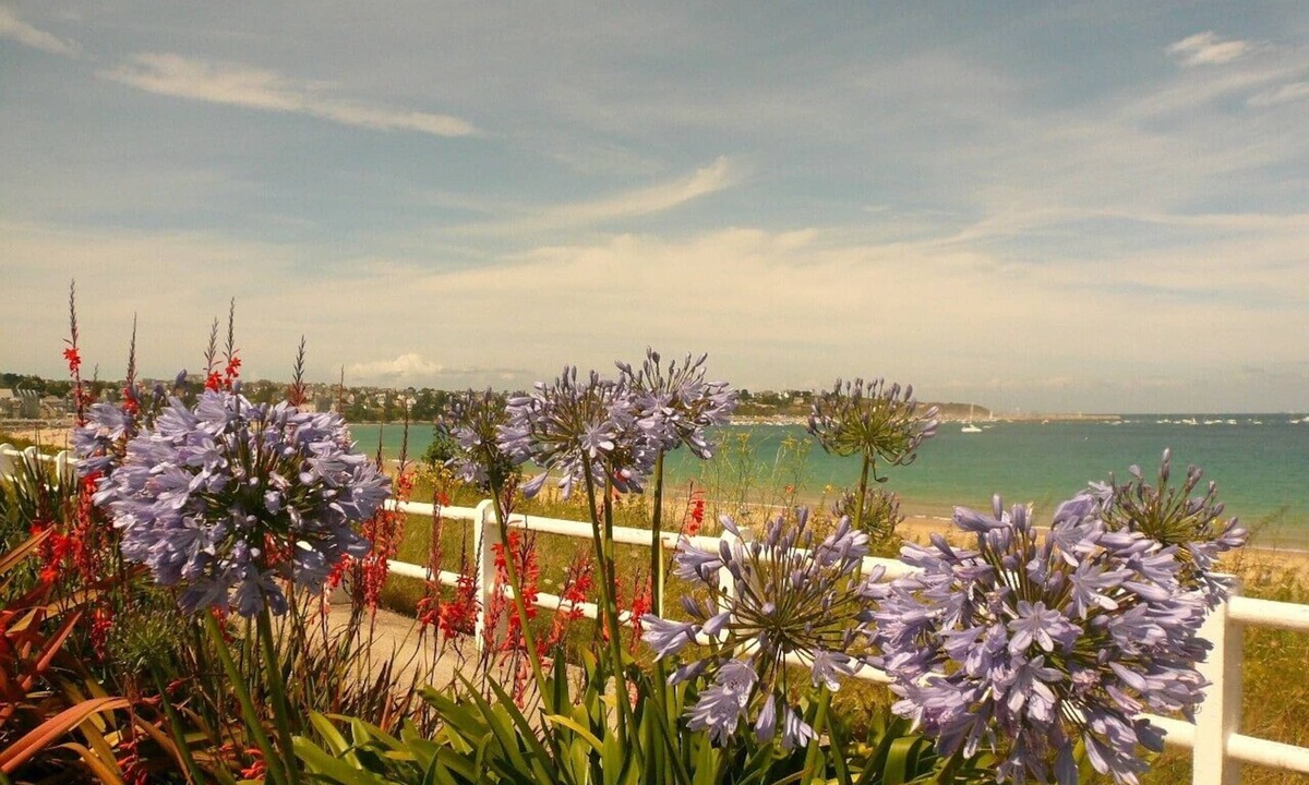 Landebia House | 170m², quiet, renovated in 2009 - St Cast beach 20mn away - INTERNET /AIR CONDITIONING