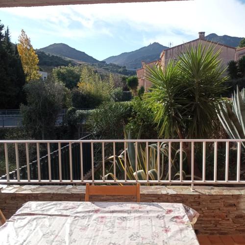 Collioure Apartment | 2VAD13 Studio proche centre-ville