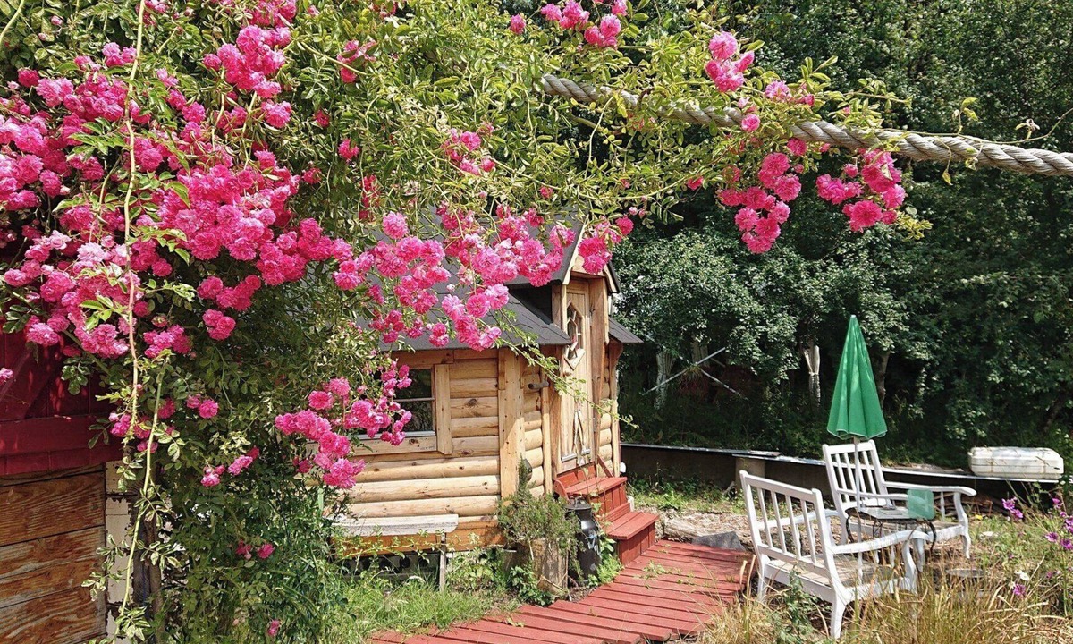 Renac Cabin | A Private Lakeside Retreat Kota Cabin