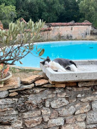 Montcabrier Other | Aire Naturelle Camping Domaine de Mombret Haut