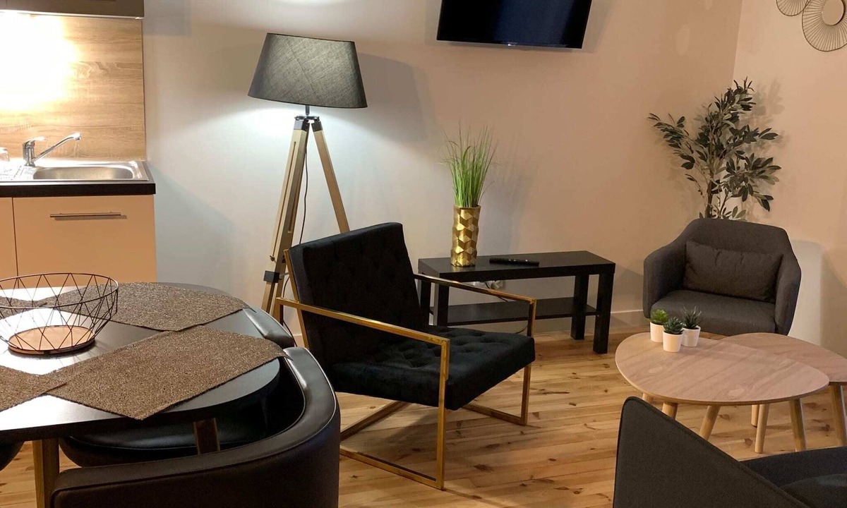 Chatel-Guyon Apartment | Apartment 4 persons air-conditioned 1 bedroom + sofa bed Puy de Jumes A03