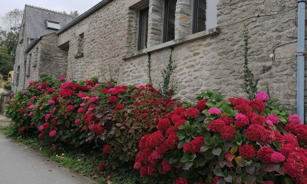 Digosville Cottage | Apartment facing the sea, ideally located, fully furnished and equipped.