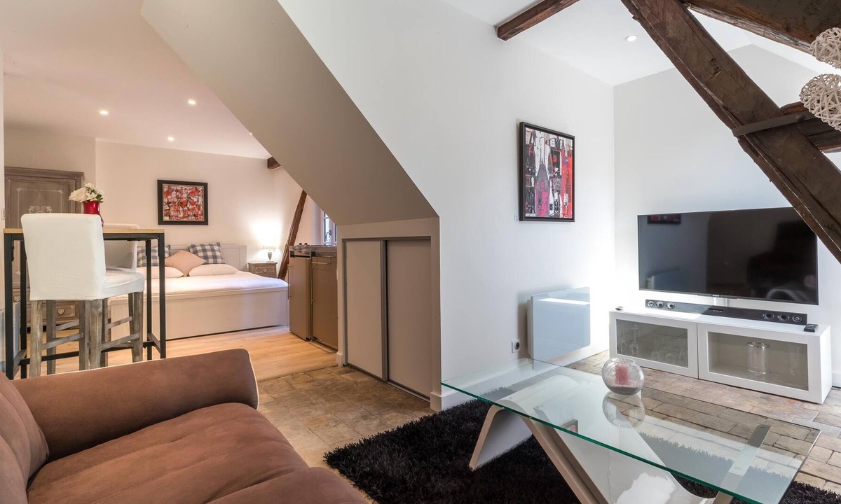 Beaune City Centre Apartment | Apartment T1 Beaune Full center with parking