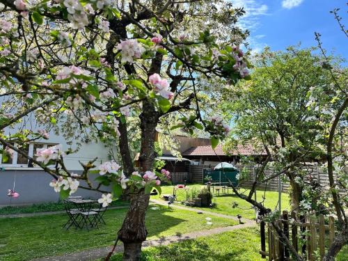 Grosbliederstroff Apartment | Appartement dans charmante maison près de Sarrebruck