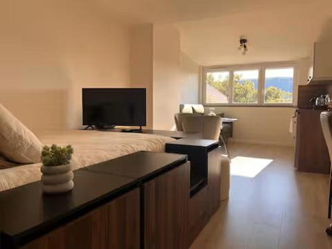 Champagnole Apartment | Appartement Le nid sur l'Ain