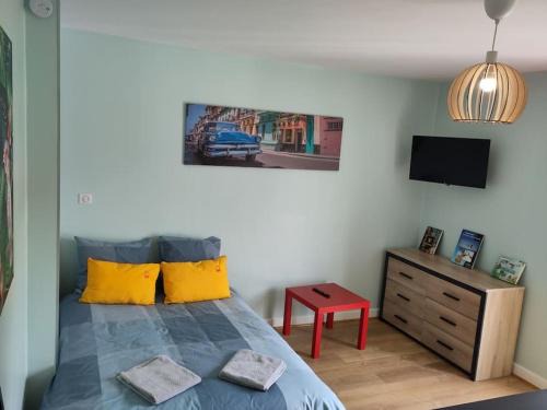 Vic-sur-Cere Apartment | appartement refait à neuf pour 3 personnes avec wi-fi