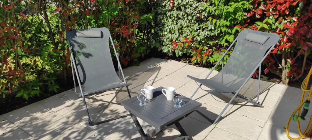 Cebazat Apartment | Appartement rez de jardin clos / terrasses