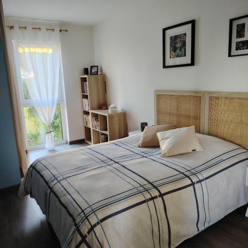 Mackenheim House | Au Chat l'Heureux