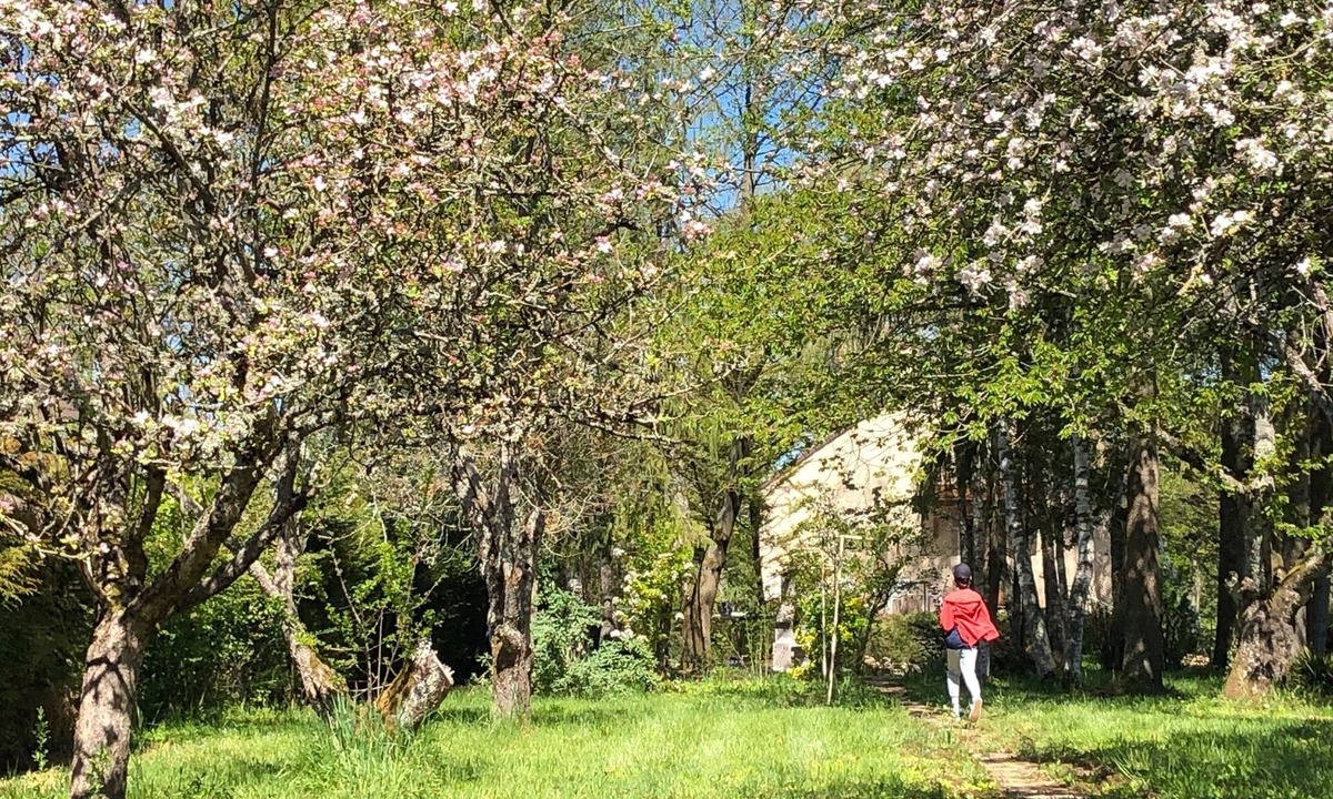 Sainte-Marie-la-Blanche House | Aux Portes de Beaune, Maison de Vacances 100m2 Rénovée et Climatisée 6/8 Pers