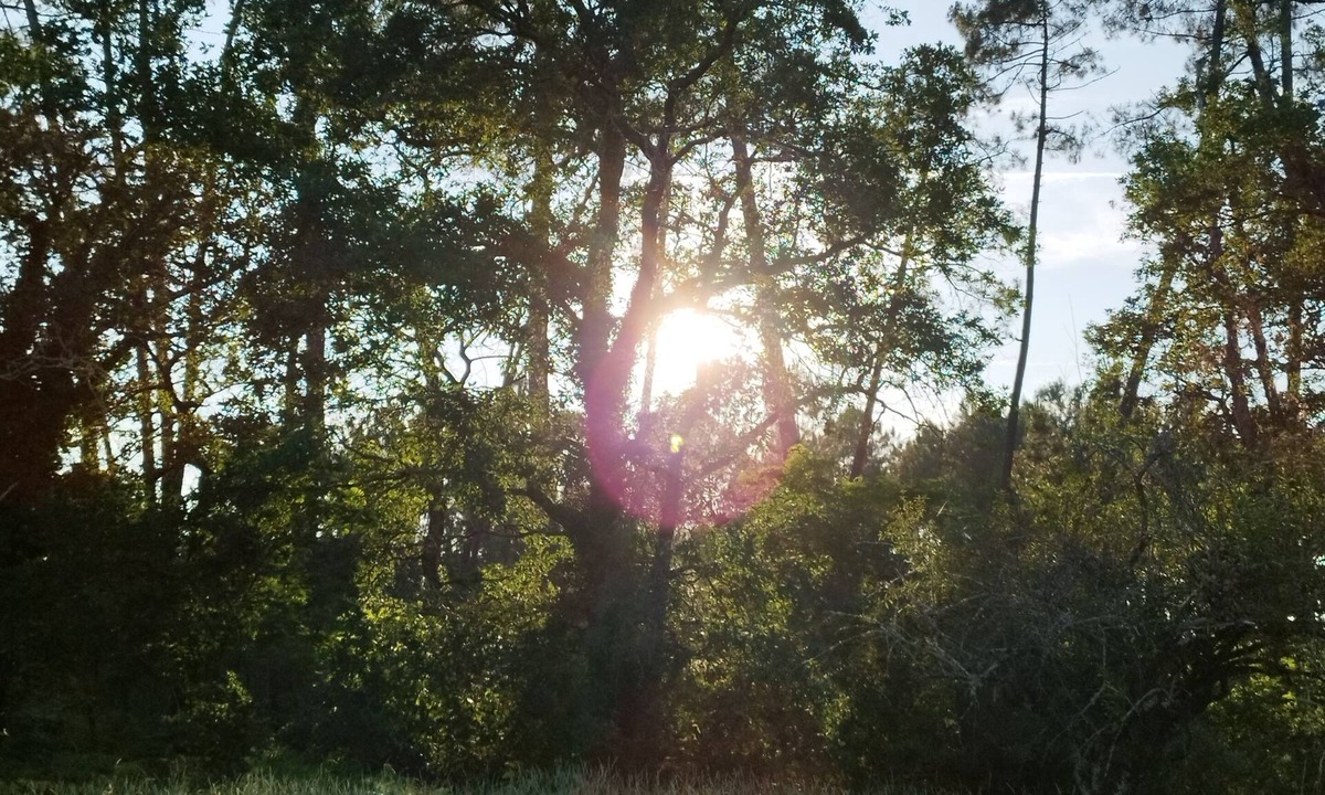 Villandraut House | Bienvenue en sud Gironde