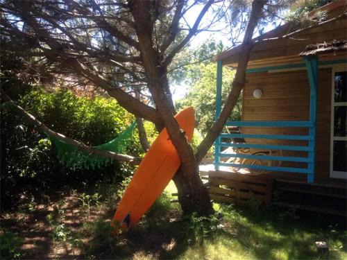 Castets Ski Chalet | Chalet Zen dans les landes