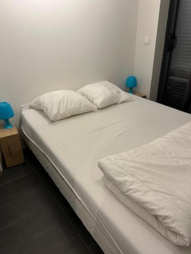 Chatel-Guyon Bed & Breakfast | Chambre Au Trèfle Dort