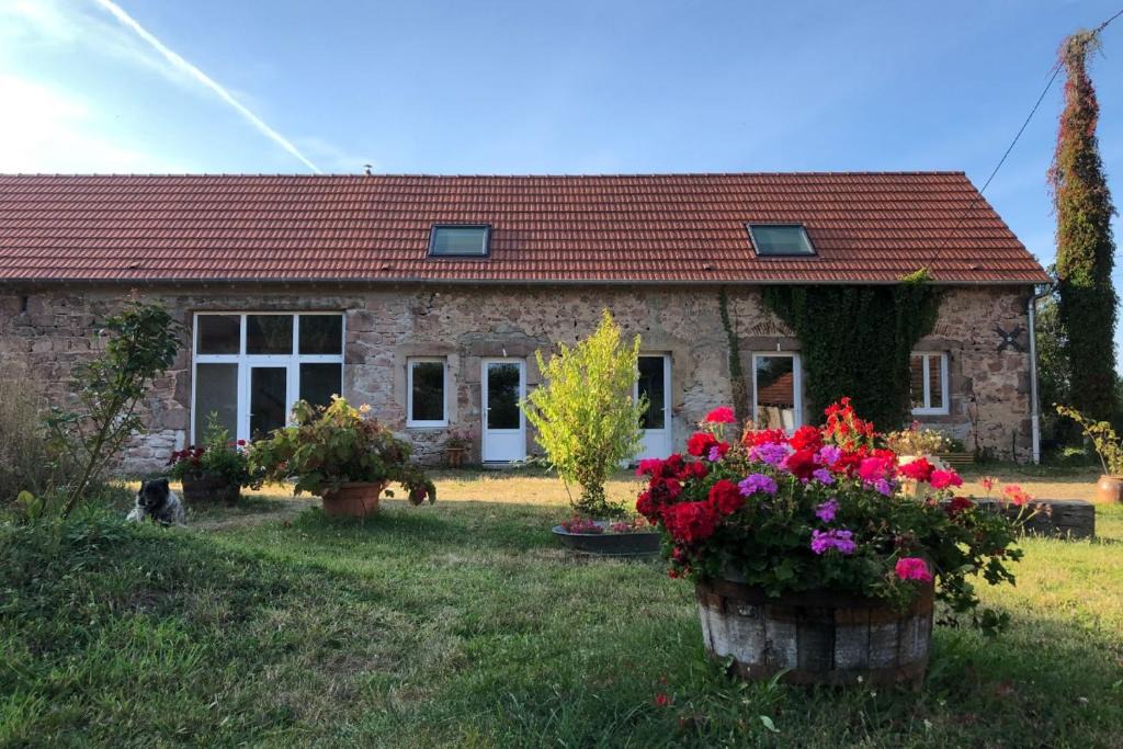 Droiturier House | Chambre TERRE