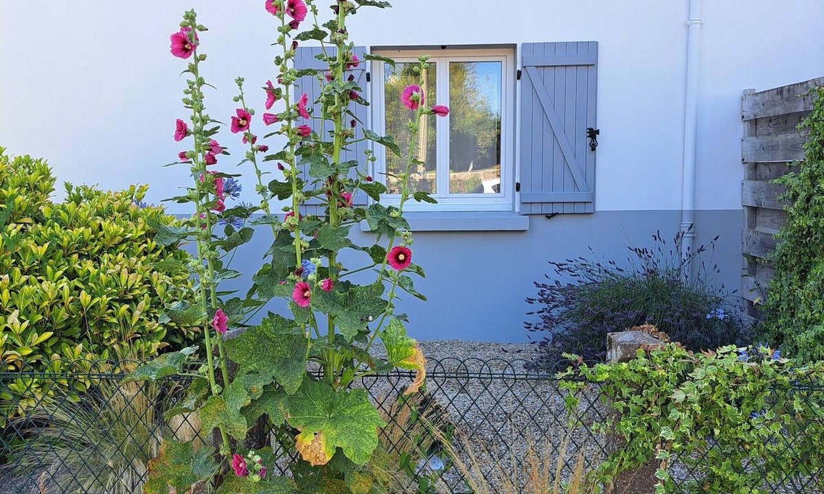 Saint-Lyphard Cottage | "Charming Gîte in Brière Park, 15km from La Baule Beach"