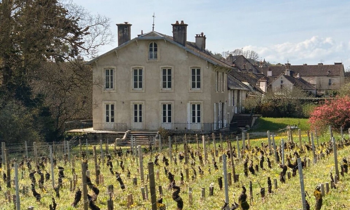 Ladoix-Serrigny House | Charming renovated villa with exceptional view on its vineyards (incl. Fan & AC)