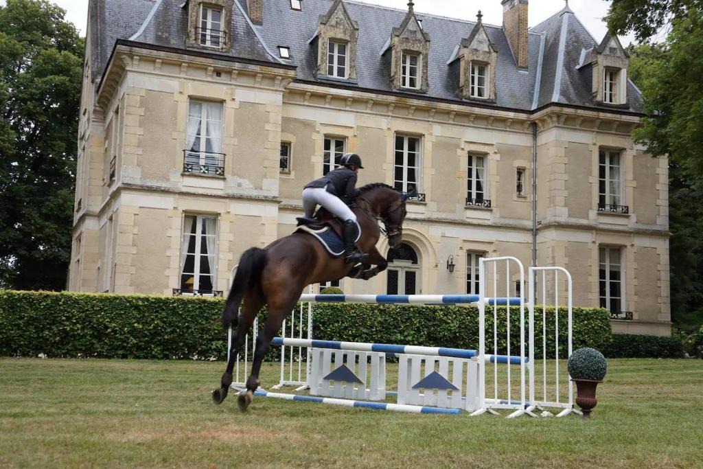 Charentonnay Bed & Breakfast | Chateau des Trois Brioux