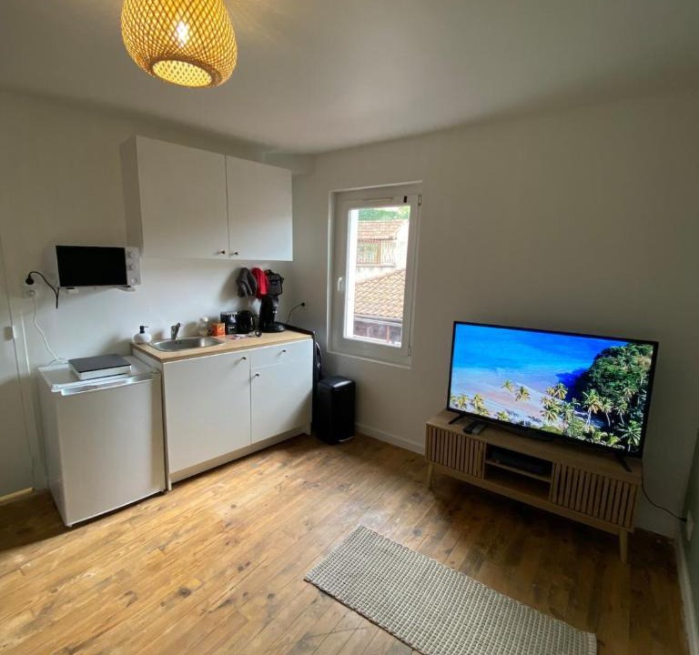 Montbrison Apartment | Comfortable studio - Montbrison