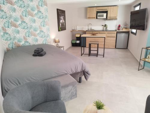 Le Vigan Apartment | Cosy Studio à Le Vigan-en-Quercy, Lot