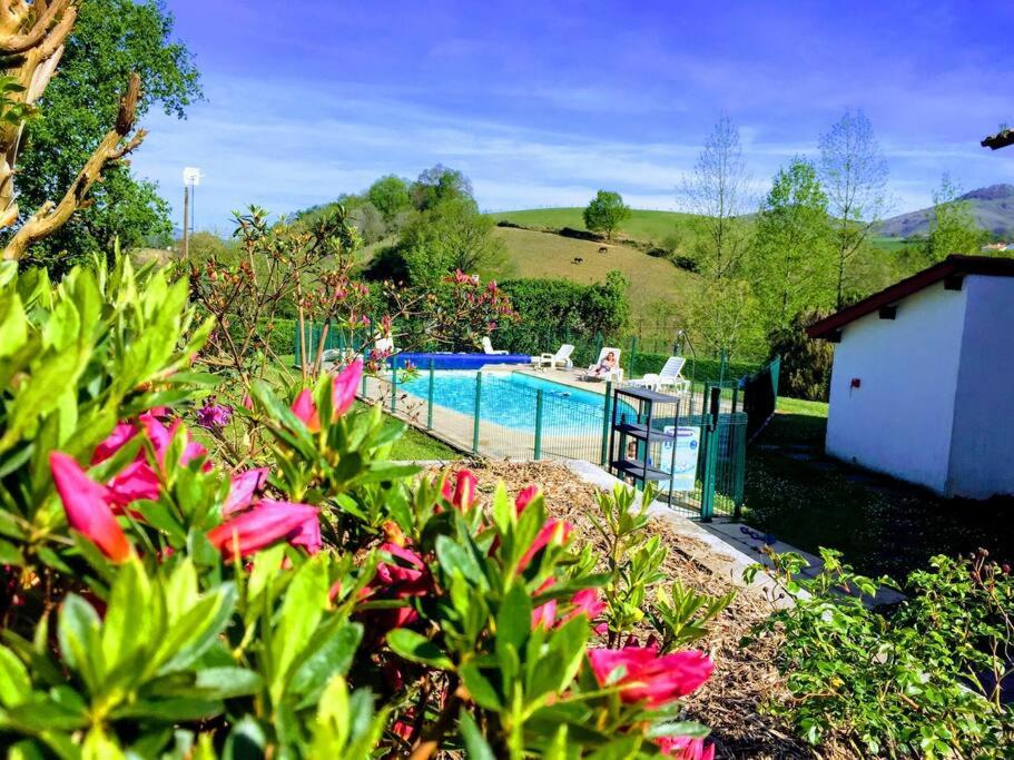 Souraide Apartment | Cosy T2 proche Espelette - résidence avec piscine chauffée