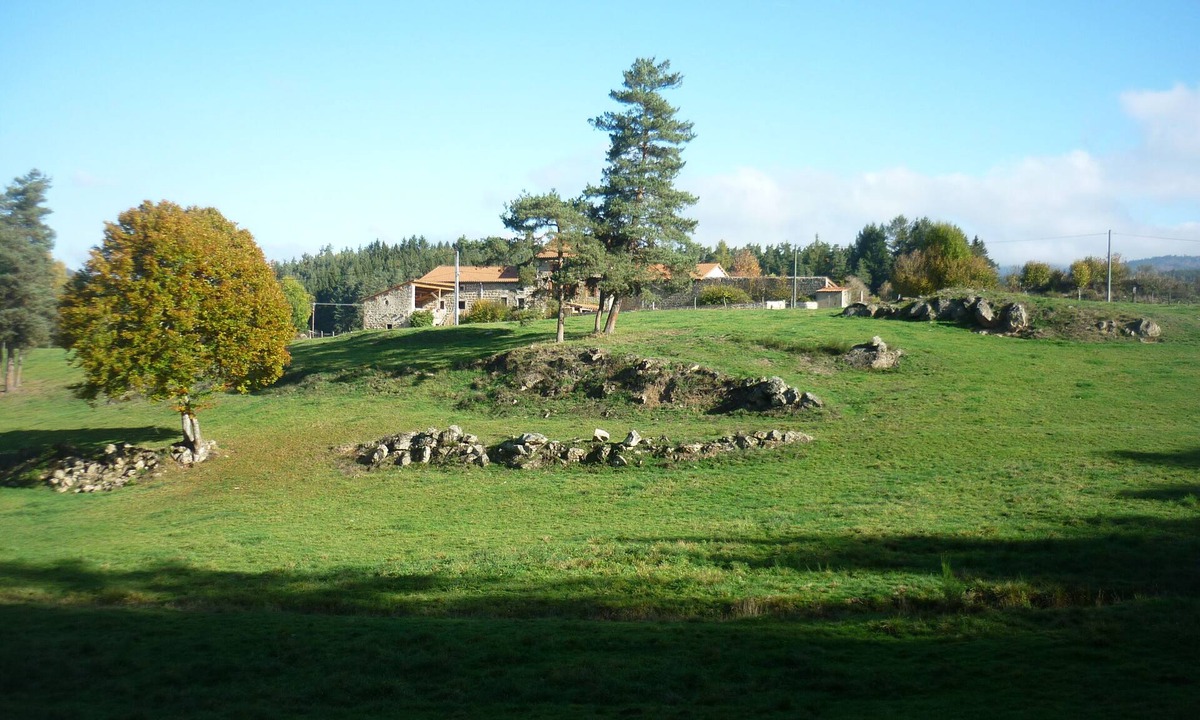 Usson-en-Forez House | Country Cottage/Gite - Usso, en Forez