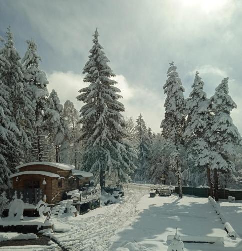 Boussoulet House | Domaine de la Mamounette