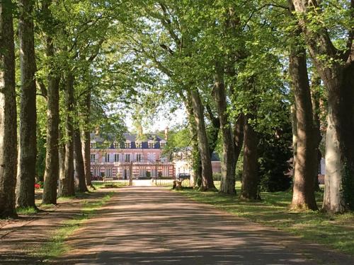 Salbris Bed & Breakfast | Domaine du Chesne