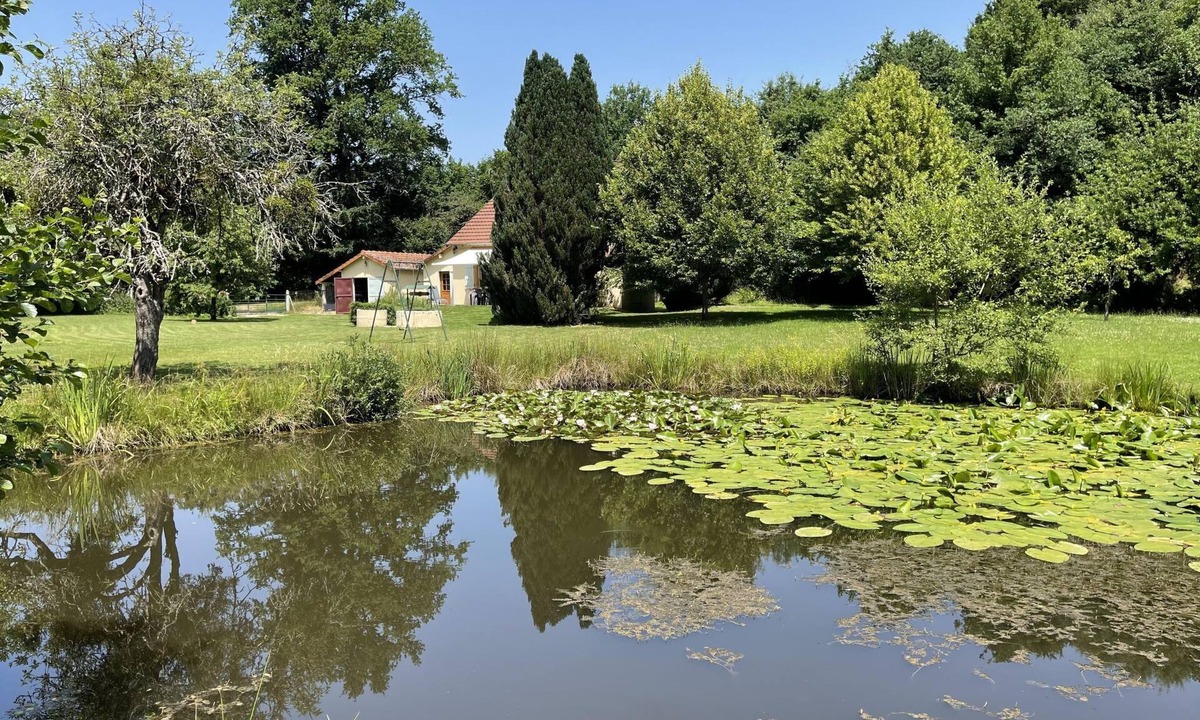 Saint-Berain-sous-Sanvignes House | für 6 Pers. mit eigenem Teich by Interhome