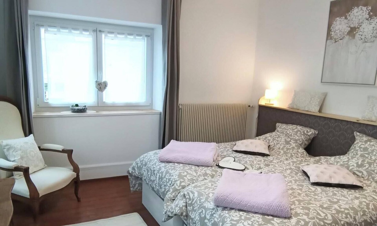 Luxeuil-les-Bains Apartment | F2 apartment with large terrace in historic center