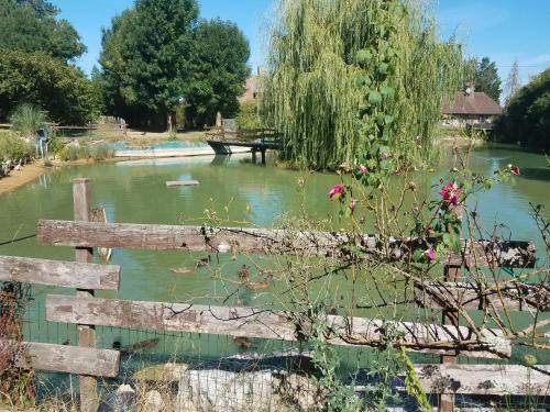 Mervans Bed & Breakfast | Ferme bressane les Arums