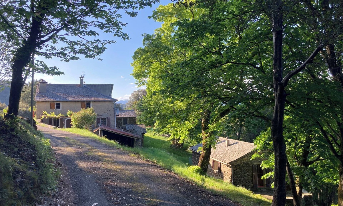 Sainte-Croix-Vallee-Francaise House | Old sheepfold with forest view