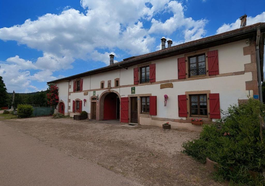 Aumontzey House | Gîte authentique avec terrasse couverte, 16 km de Gérardmer, 4 chambres, équipement bébé, Wi-Fi inclus - FR-1-589-231
