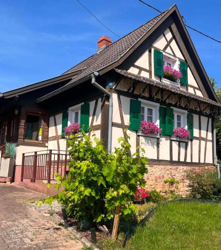 Morsbronn-les-Bains House | Gîte Chez Hanna et Michel 2 chambres