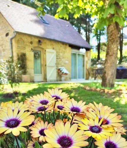 Payrignac House | Gîte du Moulin de Maître Pierre
