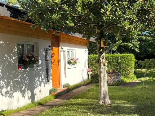 Lagny-sur-Marne House | Gîte les violettes