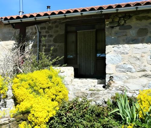 Lafarre House | Gîte Socabenga