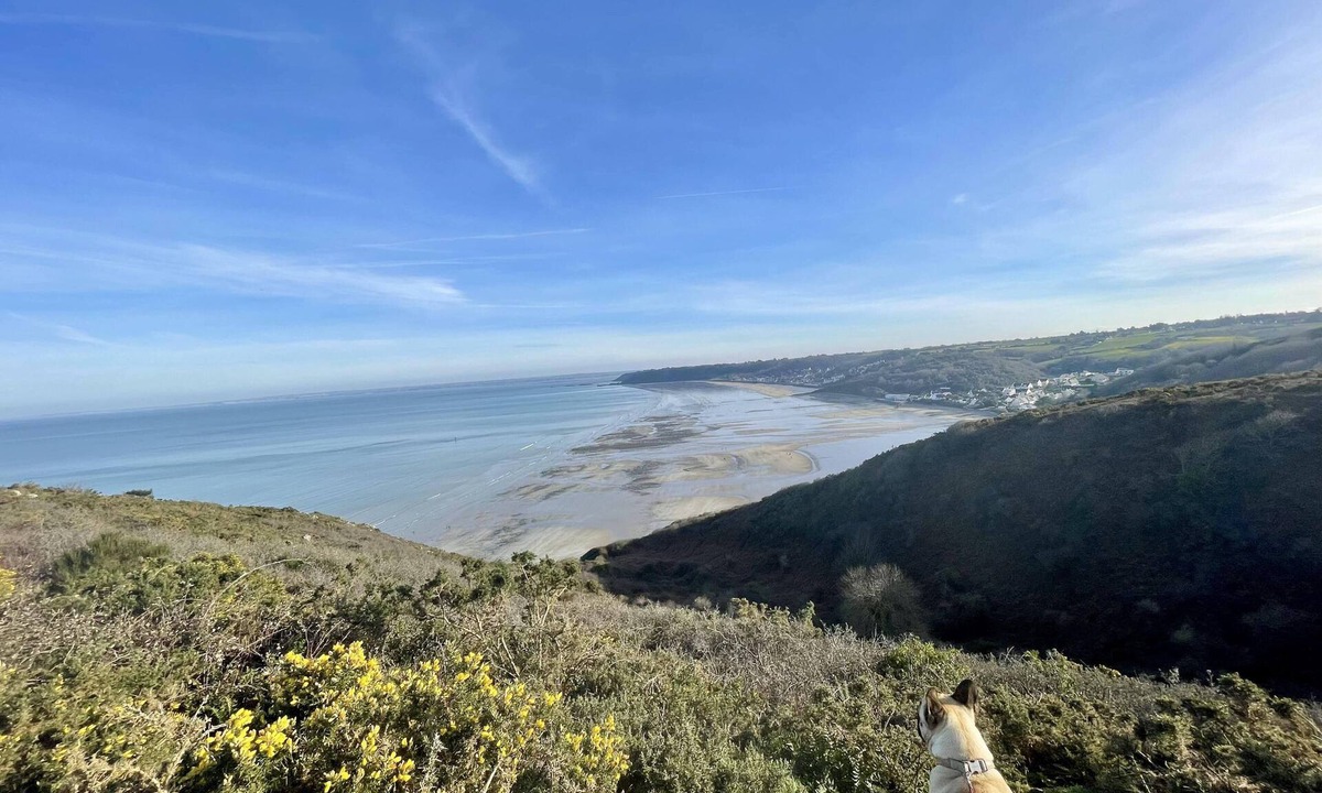 Saint-Pever House | GITE des GRANDS CHENES, Sea & Countryside
