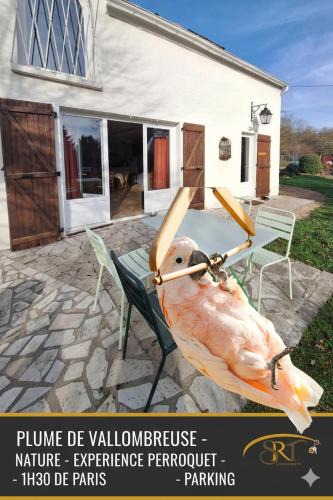 Bransles House | Gite La Plume de Vallombreuse