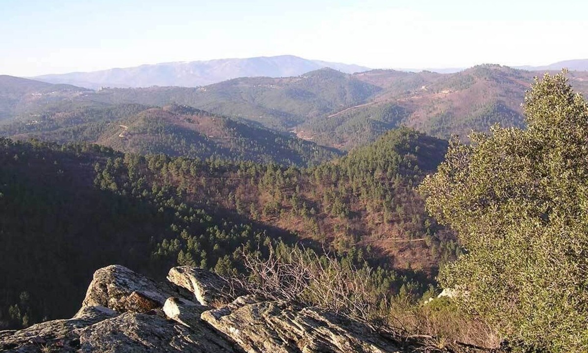 Le Martinet Apartment | Gites in Cévennes bed linen/towel rental possible No pets allowed
