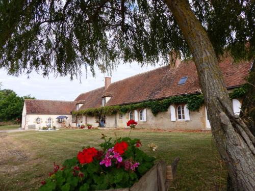 Lurcy-Levis House | Grand gîte restauré avec climatisation, idéal pour familles - FR-1-489-392