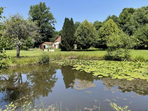 Saint-Berain-sous-Sanvignes House | Holiday Home für 6 Pers- mit eigenem Teich by Interhome