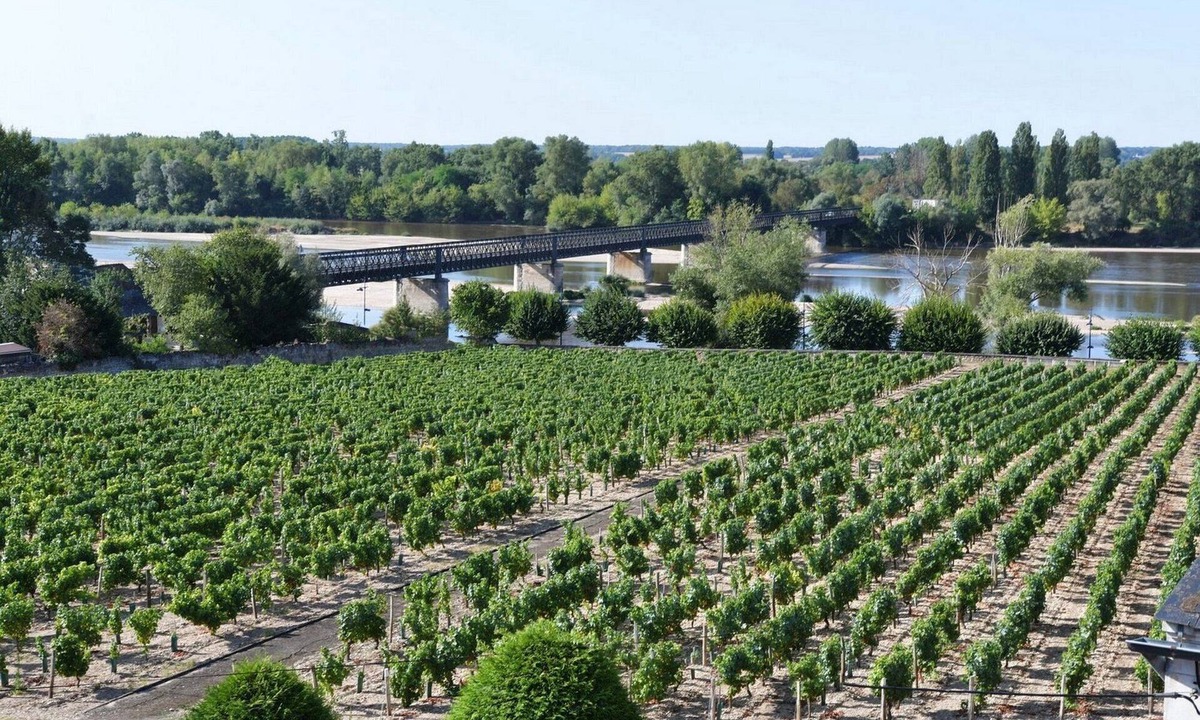 Pouilly-sur-Loire Apartment | Holidays in Pouilly/Loire overlooking the Loire and the vineyards classified 2 stars