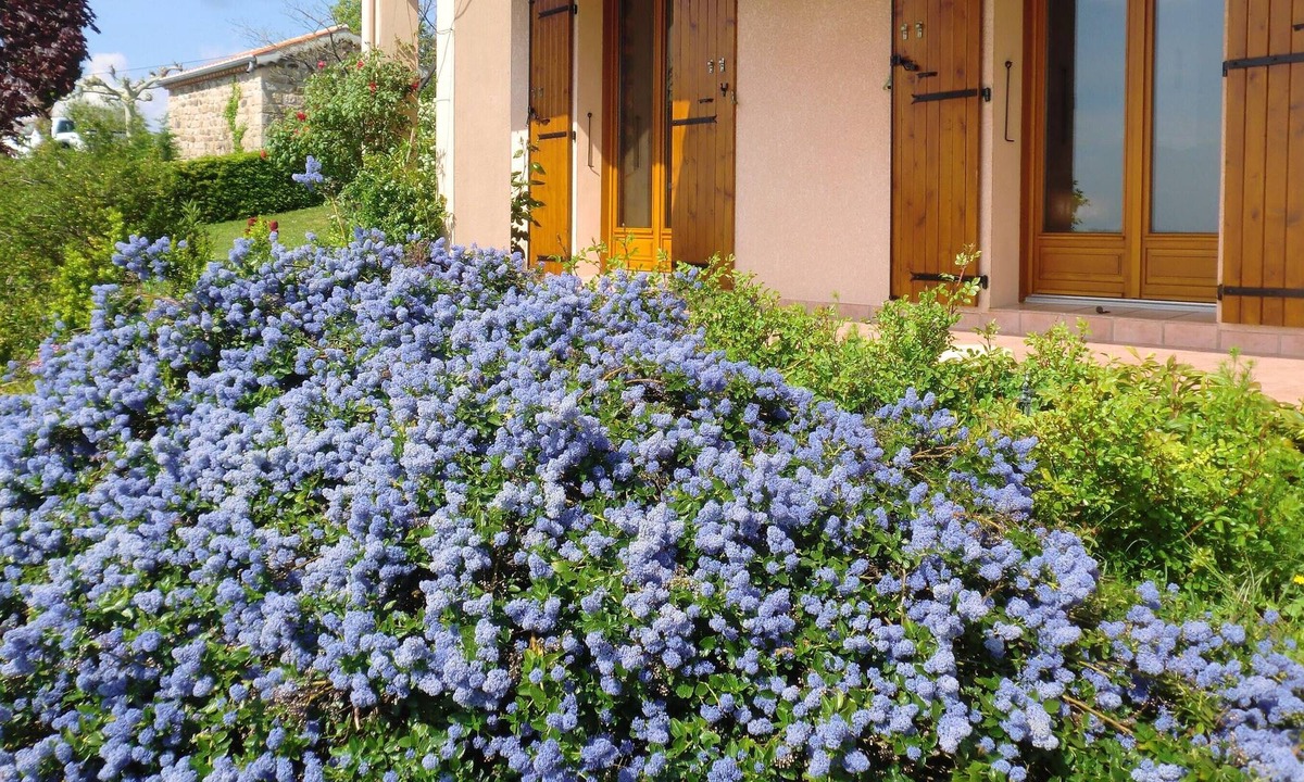 Planzolles House | Homerez - Spacious house for 6 ppl. with garden and terrace at Planzolles