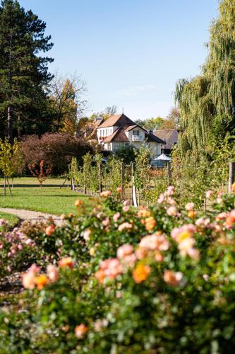 Levernois Hotel | Hostellerie De Levernois