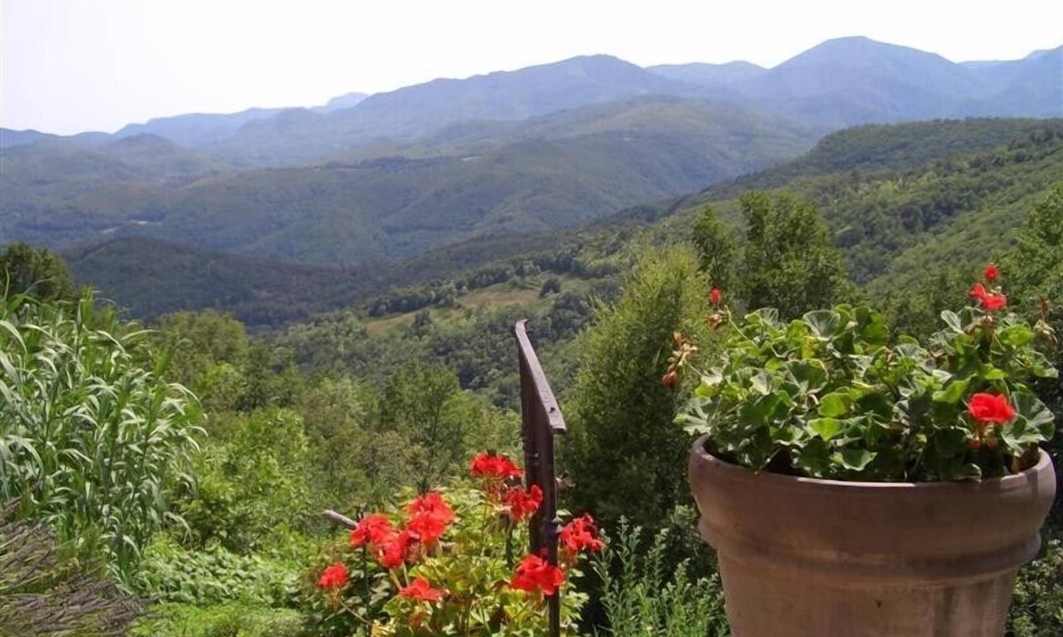 Arles-sur-Tech Apartment | IN MONTFERRER NOT ARLES! FARMHOUSE STUDIO APPARTEMENT WITH A VIEW TO LIVE FOR !
