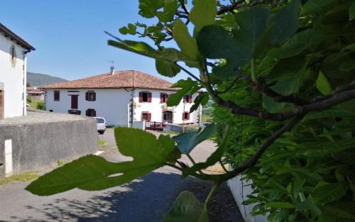 Caro Hostel | Ithurbidia