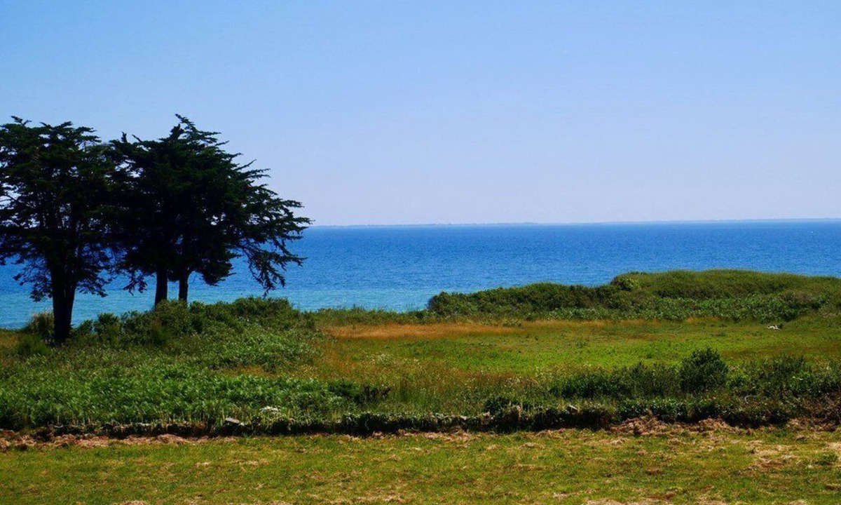 Saint-Pierre-Quiberon Apartment | Kerhostin - 2 rooms mezzanine apartment - 35m² - sea view