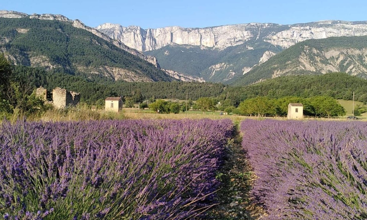 Die Other | L'Eco-logis du Clos des Tilleuls