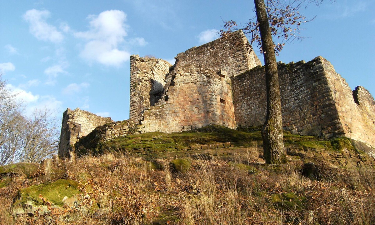 Windstein House | la Bergerie, old barn renovated near hiking trails