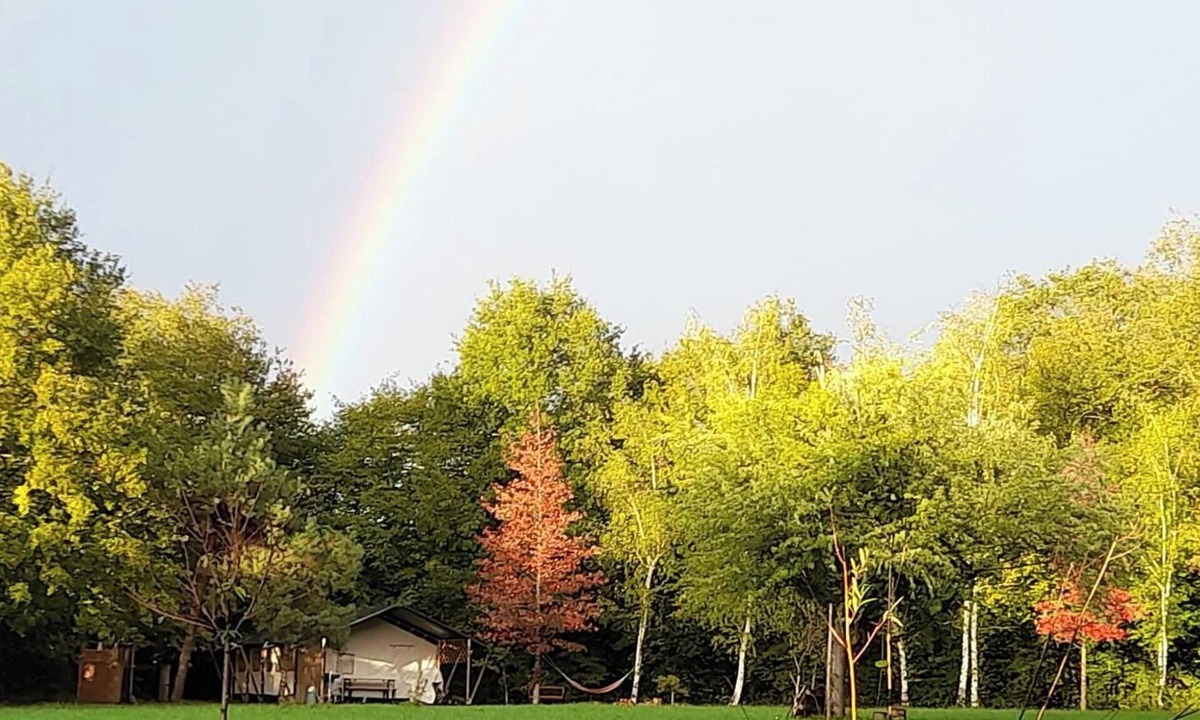 Valigny Cabin | ✨ La lodge du Refuge - Nature & Art en Bourbonnais