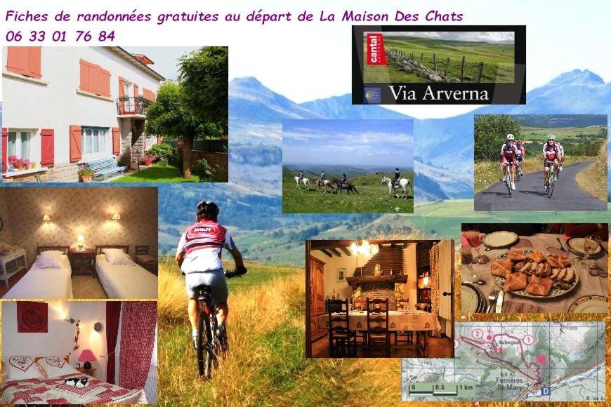 Saint-Mary-le-Plain House | La Maison des Chats